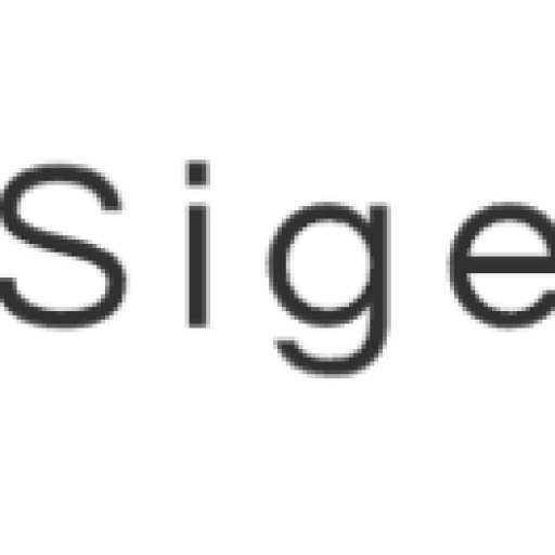 SIGE (USA) INFORMATION TECHNOLOGY CO., LTD